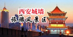 免费看操美女B视频中国陕西-西安城墙旅游风景区